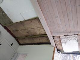 IMG_20200801_133745