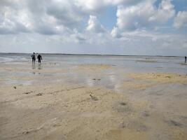 IMG_20210728_141113